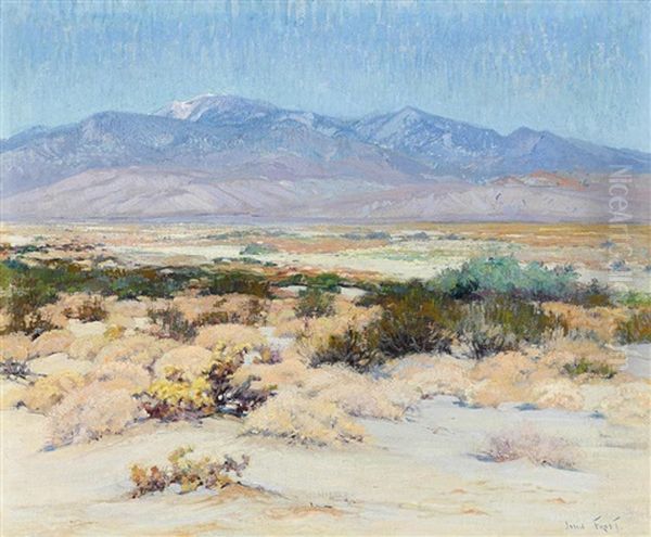 The Desert In Bloom - view 1