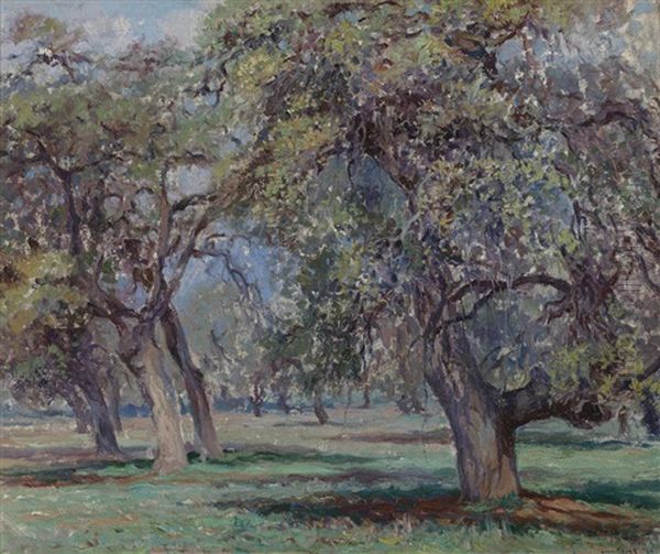 Live Oaks, Lucky Baldwin Ranch - view 1