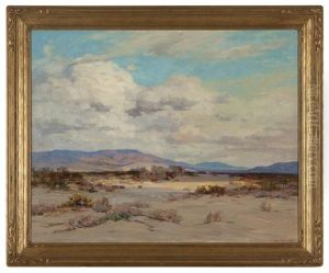 Desert Clouds