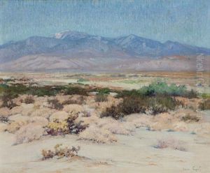 Desert Landscape - Looking Towards Mt. San Jacinto And Idyllwild