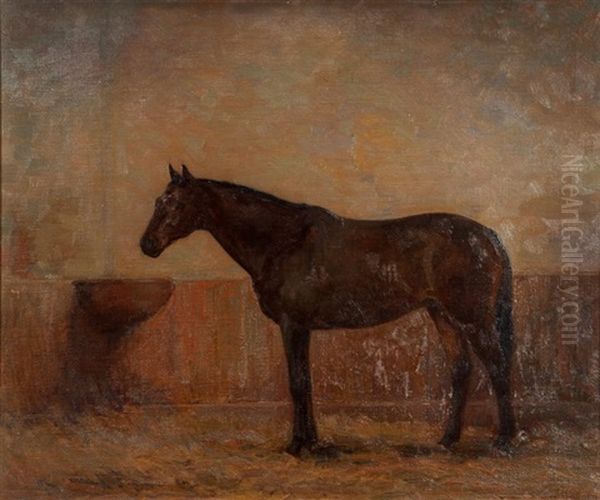 Horse In A Stall - view 1