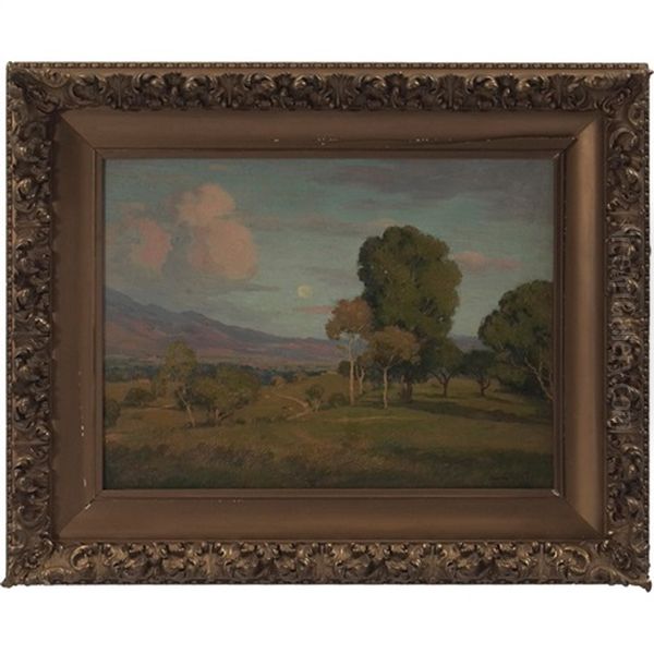 Landscape - view 1