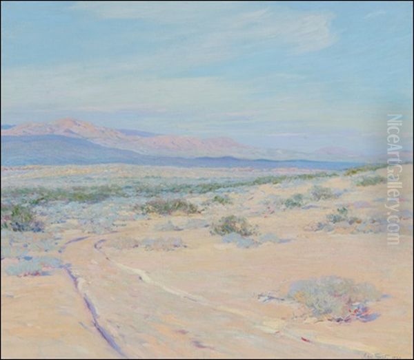 Desert Stillness - view 1