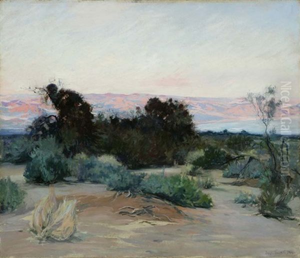 Salton Sea - view 1