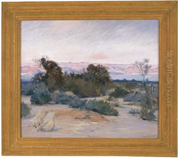 Mojave Desert - view 1