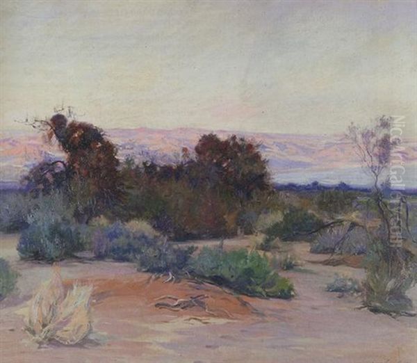 Mojave Desert - view 1