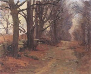 A Forest Path A Forest Path