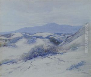 Monterey Dunes