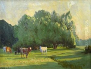 Cattle Grazing At Limsfield, Audley End, Essex Cattle Grazing At Limsfield, Audley End, Essex