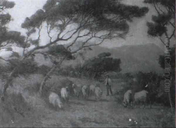 The Sheep Drover - view 1