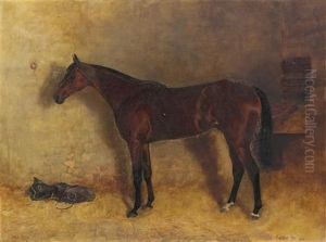 Paul Pry by R. Douglas Fry