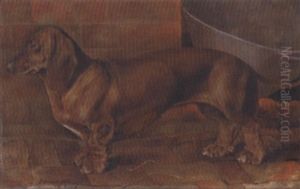 "janita" K.c.s.b. 36511, A Dachshund by R. Douglas Fry