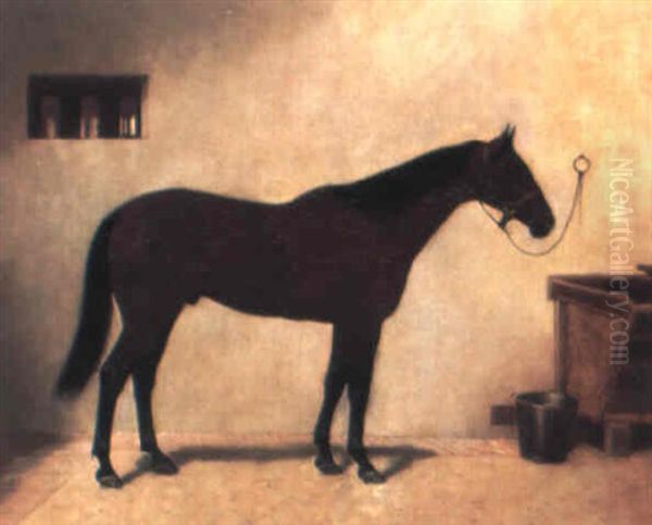 Blue Spec, Winner Of The Melbourne Cup 1905 - view 1