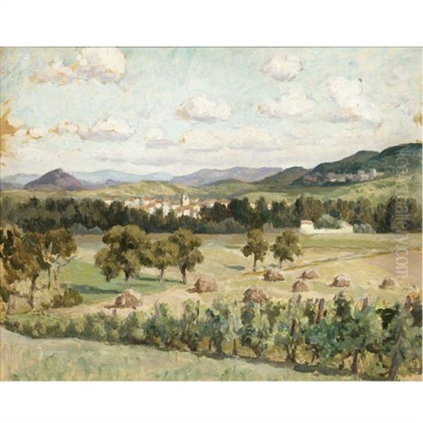 Les Alpilles, Near St Remy - view 1