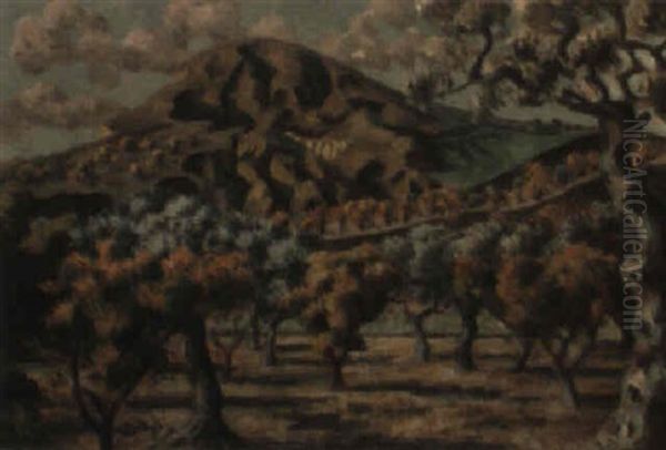 Les Alpilles, Near Arles, Provence - view 1