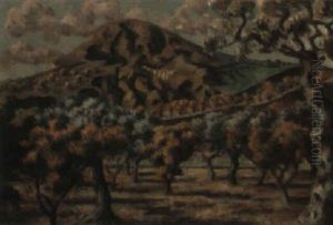 Les Alpilles, Near Arles, Provence