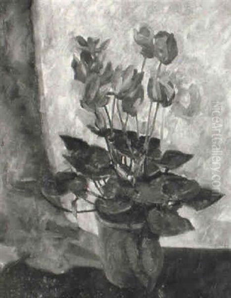 Cyclamen - view 1