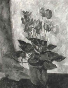 Cyclamen