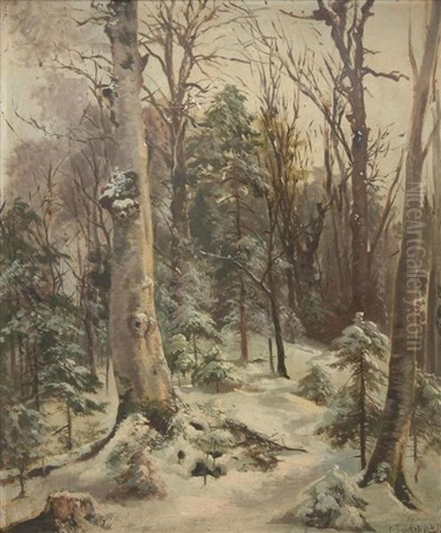 Foret Sous La Neige - view 1