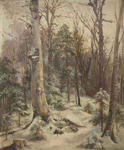 Foret Sous La Neige Foret Sous La Neige