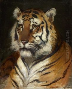 Tigerkopf
