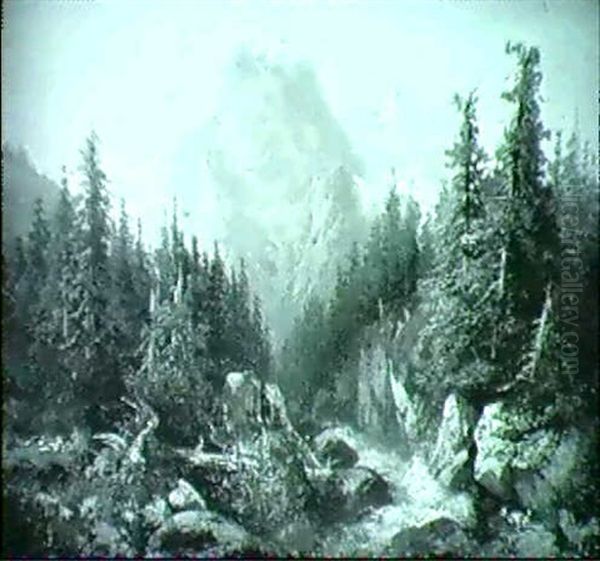 Wildwasser - view 1