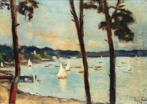 Sailing Boats On The Wannsee