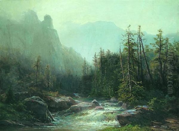 Rushing Stream - view 1