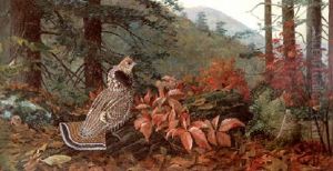 Autumn In The Adirondacks by Louis Agassiz Fuertes