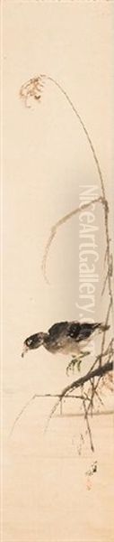 Fukada Chokujo: Black Water Rail - view 1
