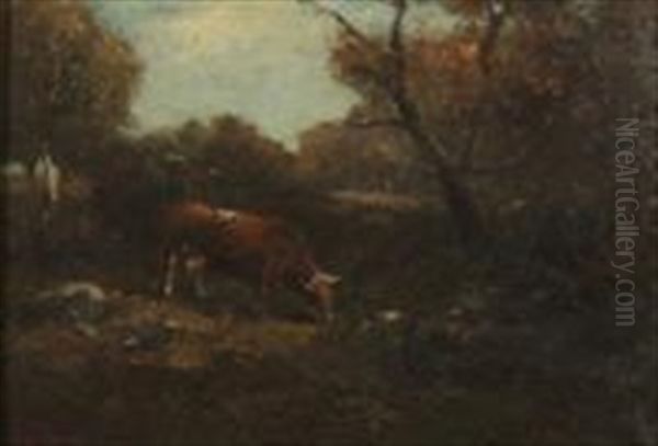 Cows In The Woods - view 1