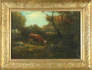 Cows In The Woods Cows In The Woods