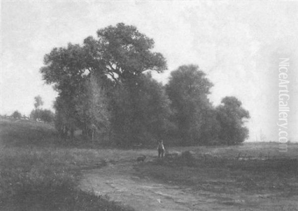 Along The Path - view 1