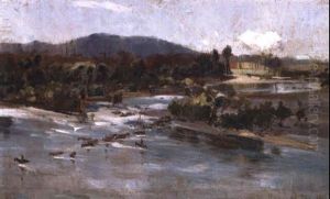 Cattle Crossing The Clarence River