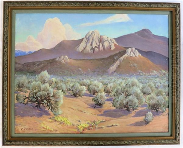 Oregon Desert Landscape With Sage Brush And Mountains - view 1