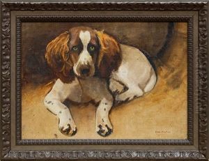 Springer Spaniel by Samuel Fulton