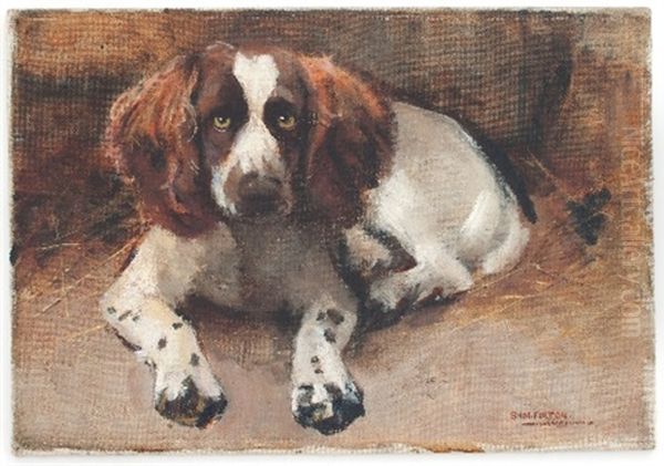 Study Of A Spaniel - view 1