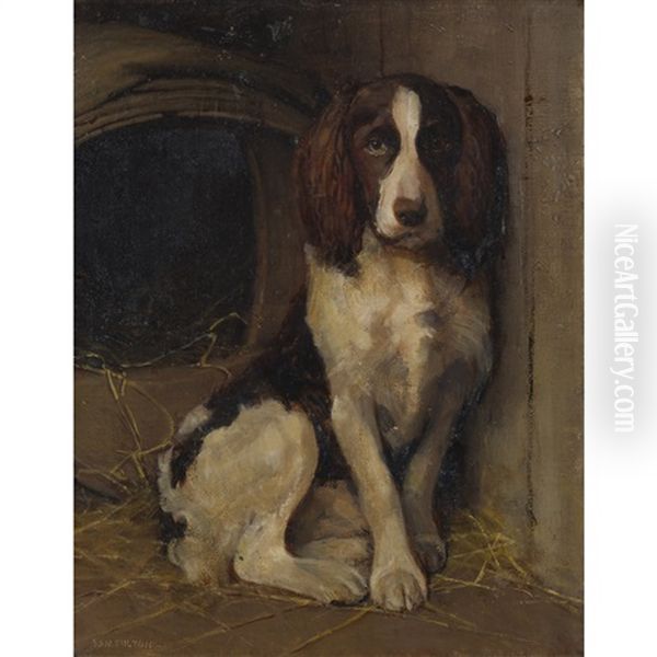 In Kennels - view 1