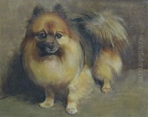 A Pomeranian Dog by Samuel Fulton