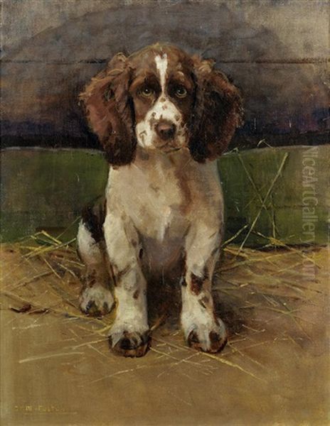 Nancy, A Springer Spaniel - view 1