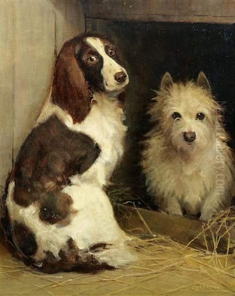 Spaniel And Terrier In A Kennel - view 1