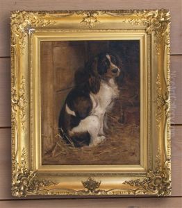 Springer Spaniel