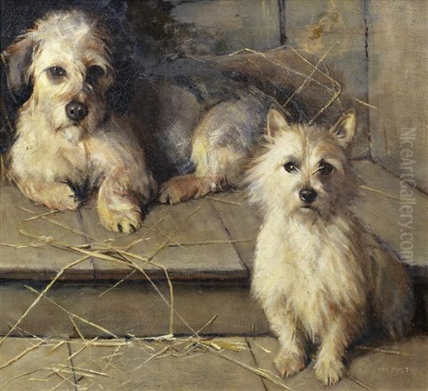A Dandie Dinmont And Terrier - view 1