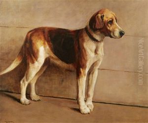 Foxhound In A Kennel