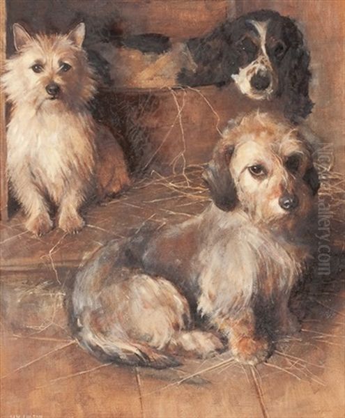 Two Terriers And A Spaniel - view 1