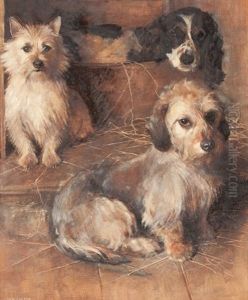 Two Terriers And A Spaniel Two Terriers And A Spaniel