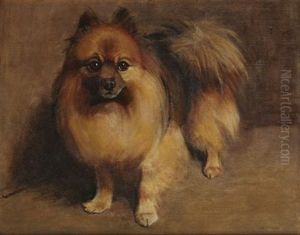 Pomeranian by Samuel Fulton