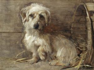 Dandie Dinmont