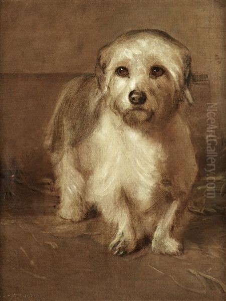 A White Terrier (puzzled) - view 1