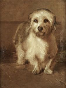 A White Terrier (puzzled)
